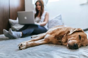 laptopathome-2048x1365