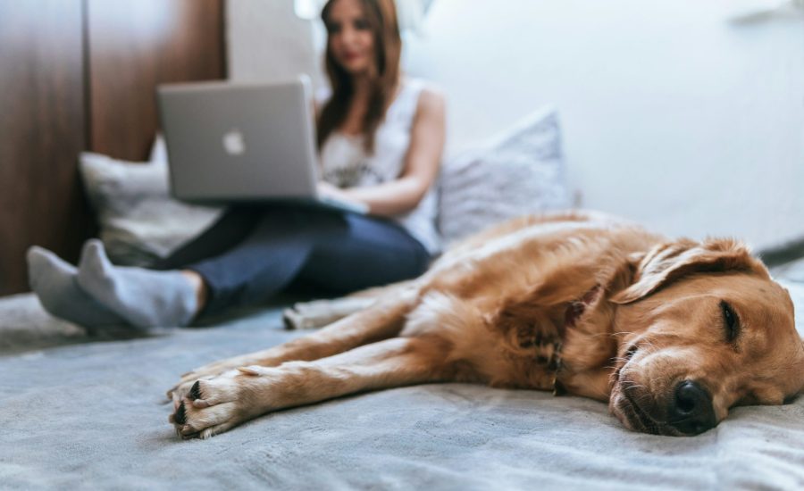 laptopathome-2048x1365